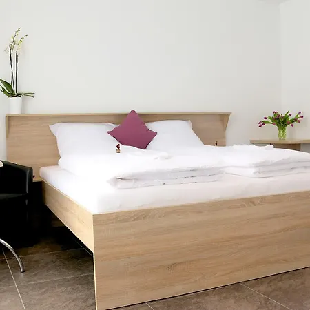 Alte Stadtmauer - Apartment Sinsheim Extérieur photo