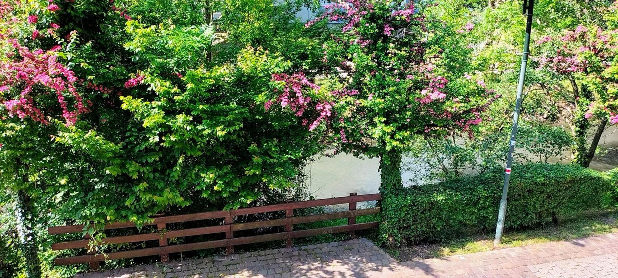 Alte Stadtmauer - Apartament