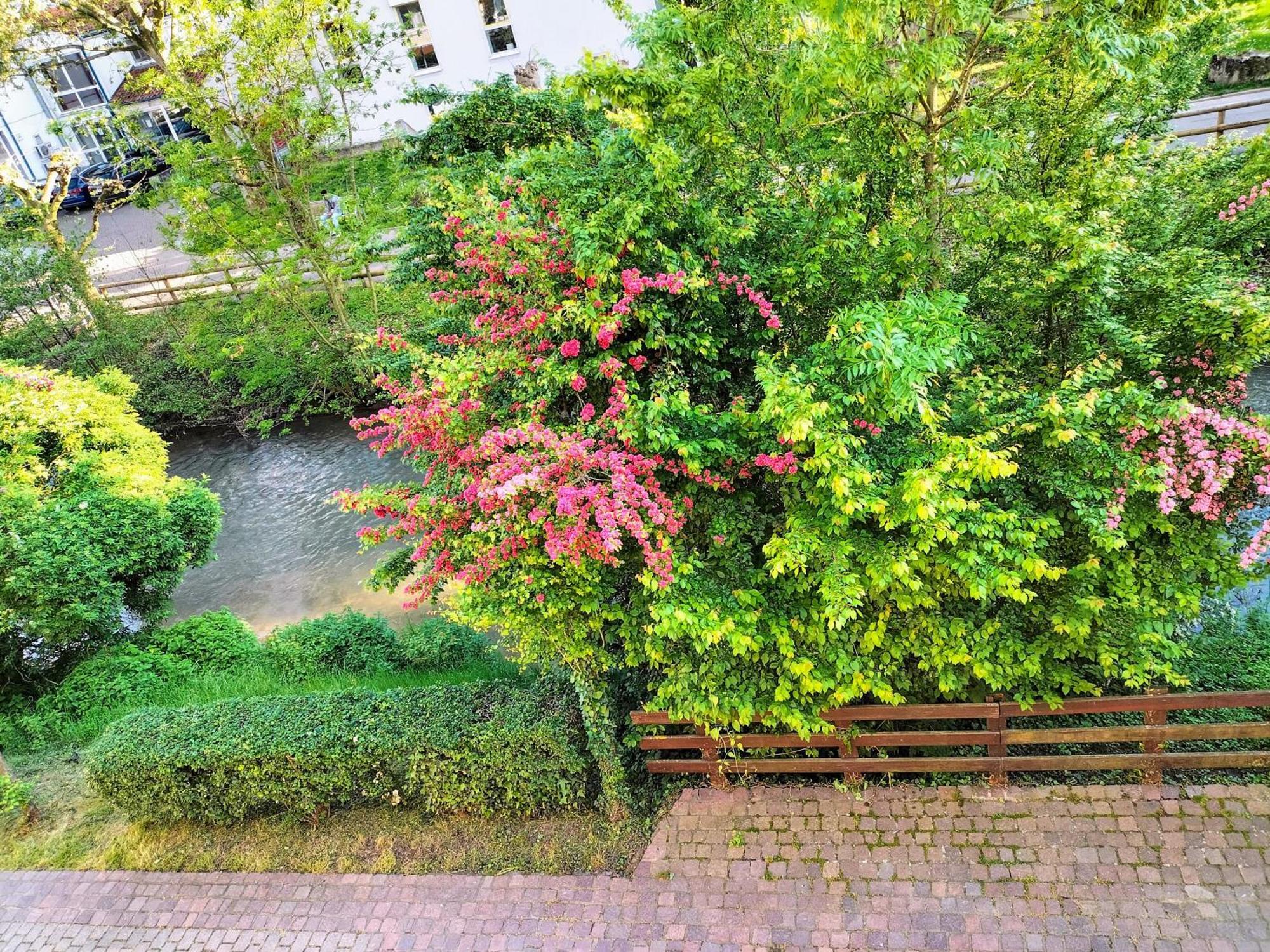 Alte Stadtmauer - Sinsheim